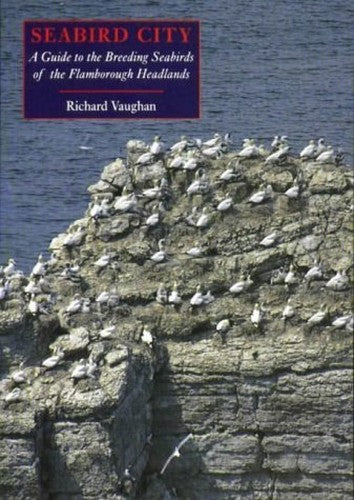 Seabird City