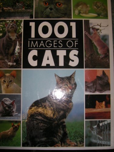 1001 IMAGES OF CATS