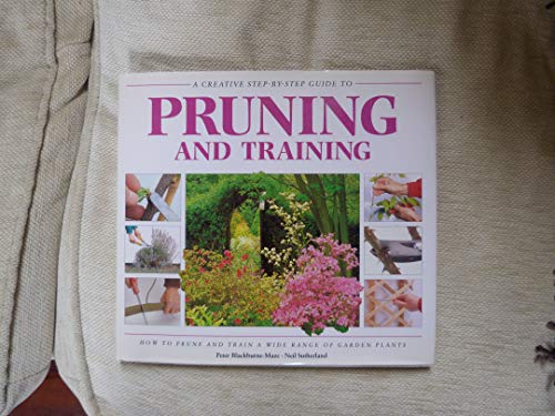 Pruning and Training (A Creative Step-by-step Guid