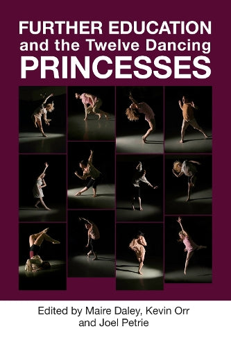 Further Education and the Twelve Dancing Princesses