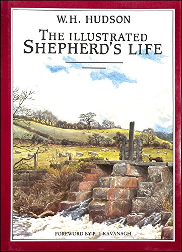 The Illustrated Shepherd's Life