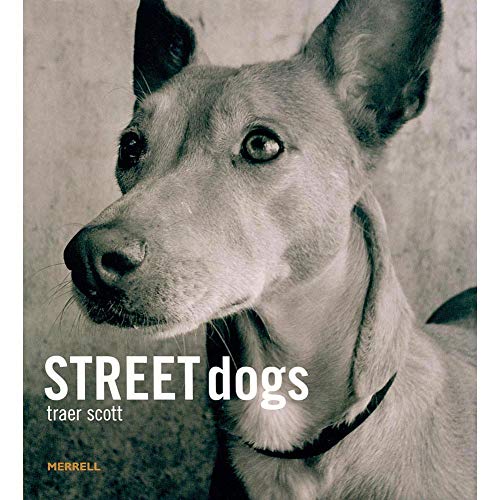 Street Dogs