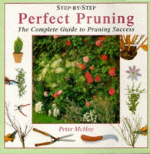 Perfect Pruning