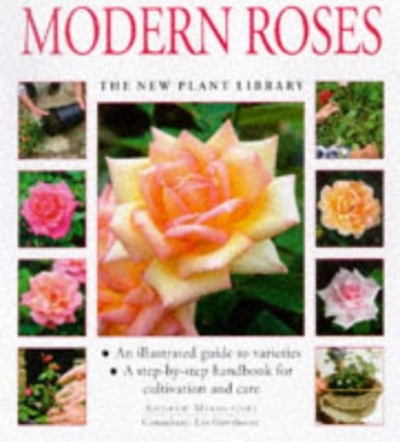 Modern Roses