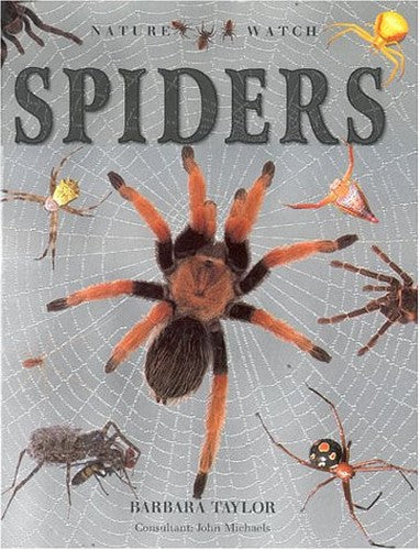 Spiders