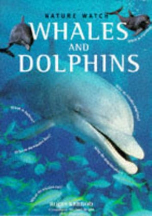 Whales and Dolphins