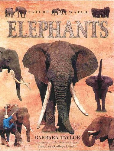 Elephants