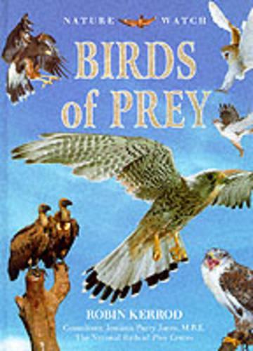Birds of Prey