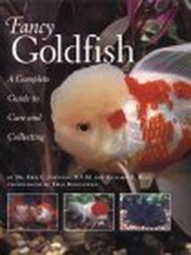 Fancy Goldfish