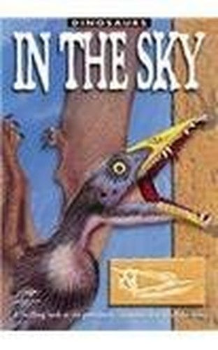 In the Sky