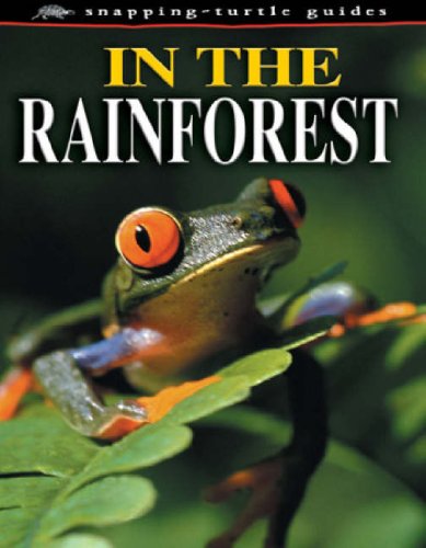 In The Rainforest