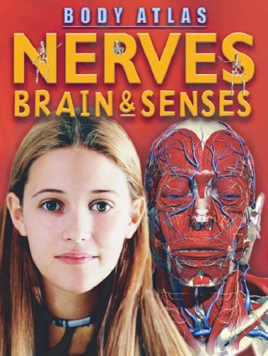 Nerves, Brain and Senses