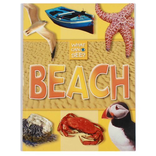 What Can I See?: Beach