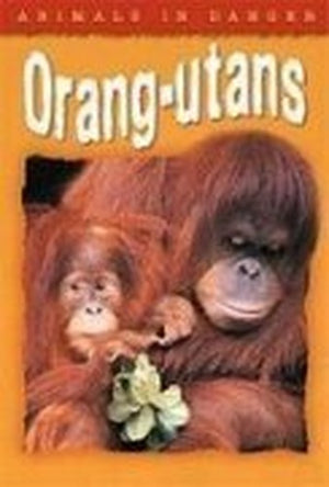 Animals In Danger: Orang-utans