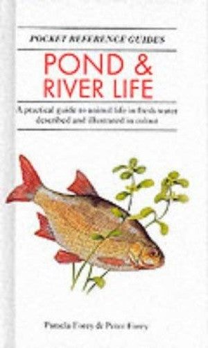 Pond and River Life