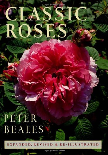 Classic Roses