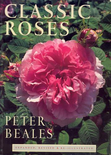 Classic Roses