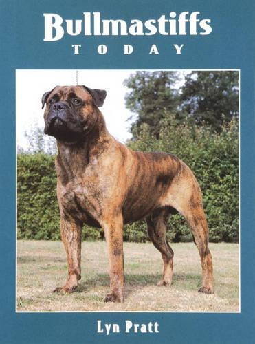Bullmastiffs Today