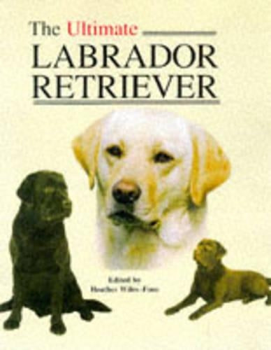 The Ultimate Labrador Retriever