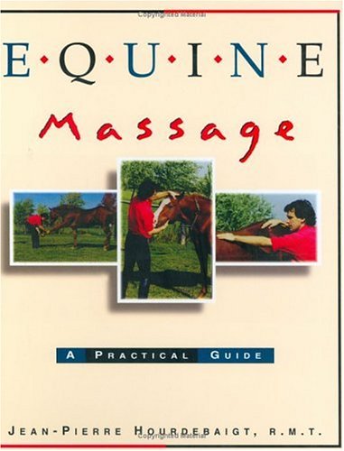 Equine Massage