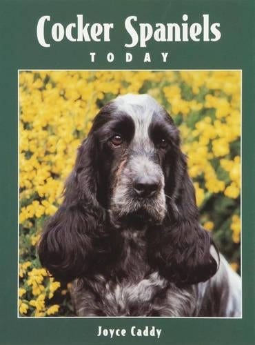 The Cocker Spaniels Today