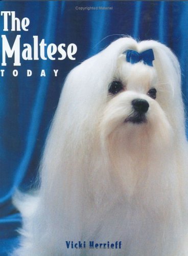 The Maltese Today