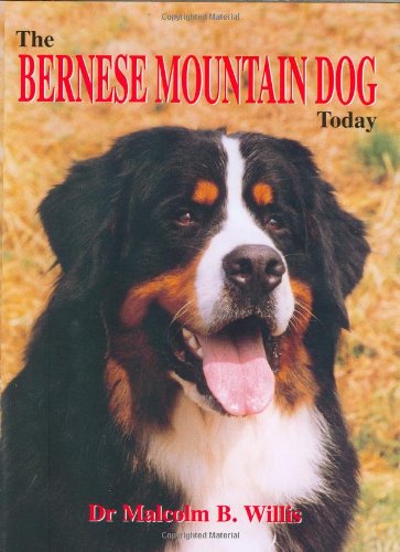 The Bernese Mountain Dog Today