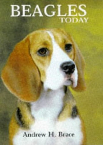 Beagles Today