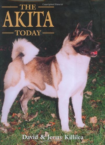 The Akita Today