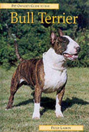 Pet Owner's Guide to the Bull Terrier