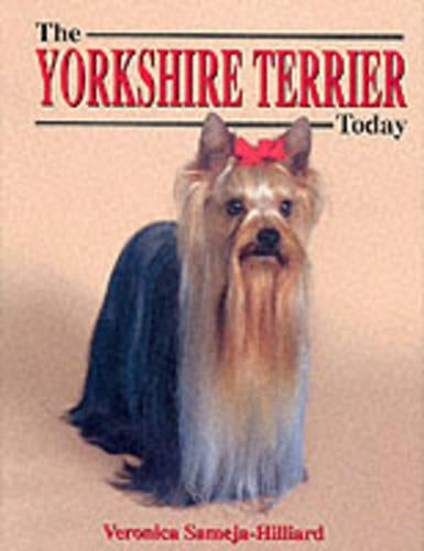 The Yorkshire Terrier Today
