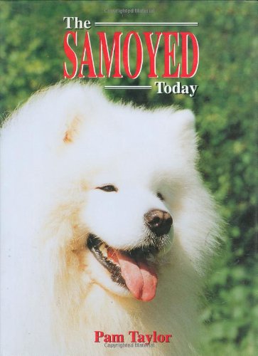 The Samoyed Today