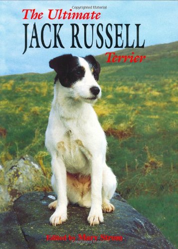 The Ultimate Jack Russell Terrier