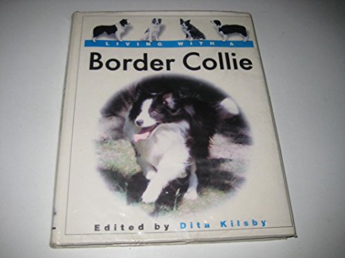 Living with a Border Collie
