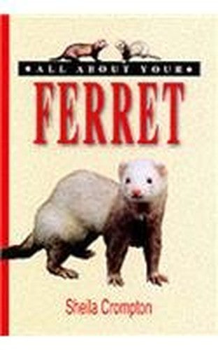 All About Your Ferret