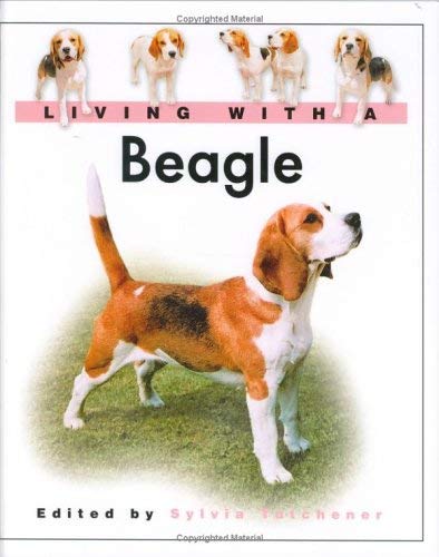 Living With A Beagle