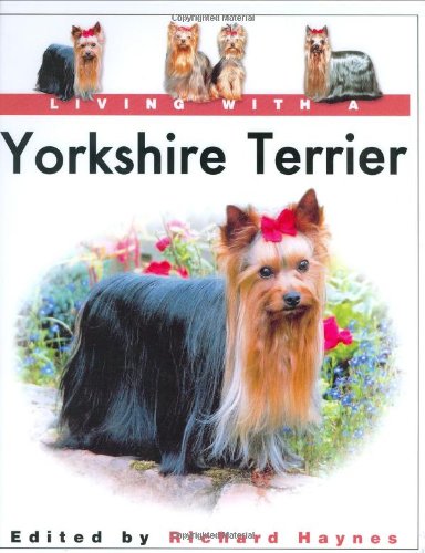 Living with a Yorkshire Terrier
