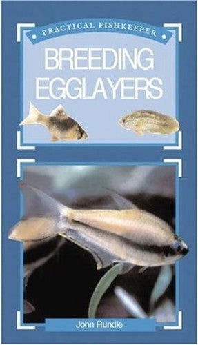 Practical Fishkeeper's Guide to Breeding Egglayers