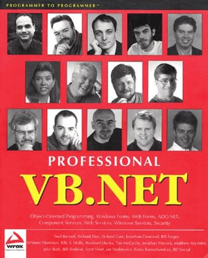 Professional VB.NET