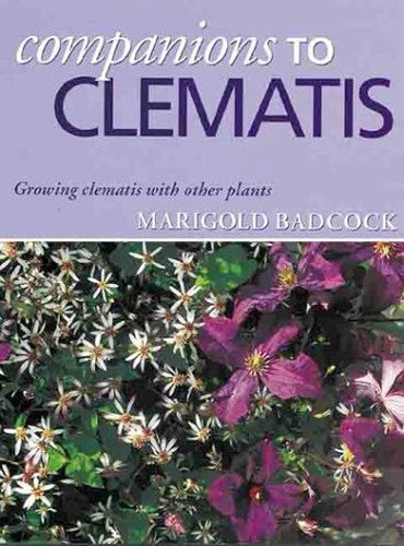 Companions to Clematis