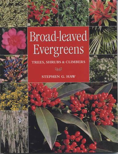 Broad-leaved Evergreens