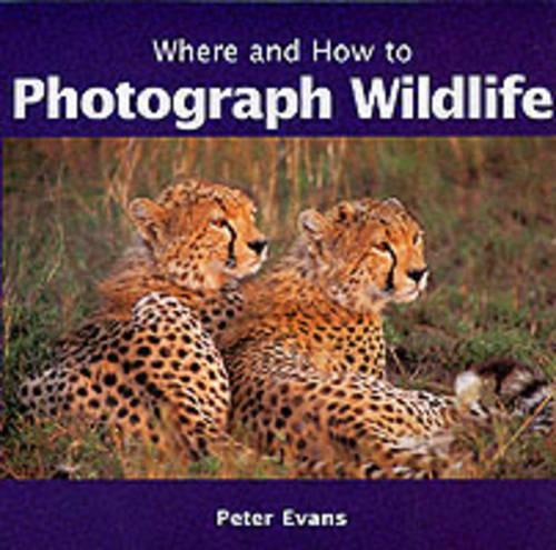 Where and How to Photograph Wildlife