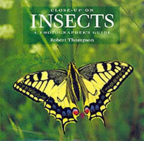 Close-up on Insects