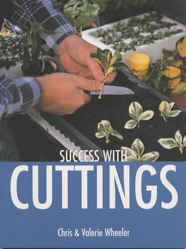 Success with Cuttings