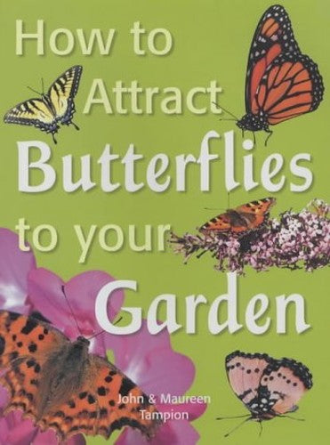 How to Attract Butterflies to Your Garden