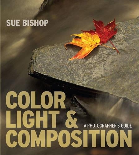 Color, Light and Composition
