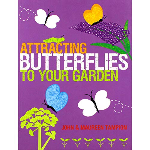 Attracting Butterflies to Your Garden