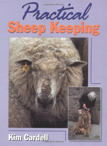 Practical Sheep Keeping