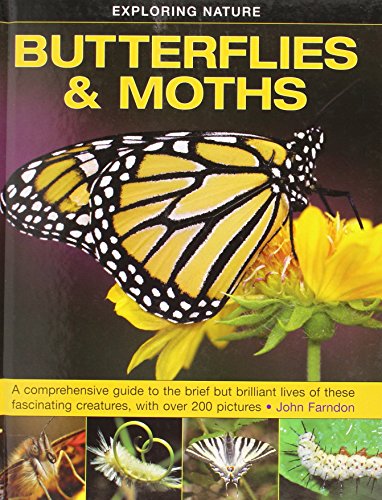 Exploring Nature: Butterflies & Moths