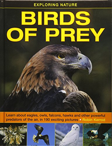 Exploring Nature: Birds of Prey